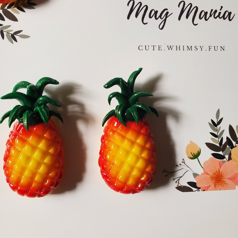 Home Decor Magnets